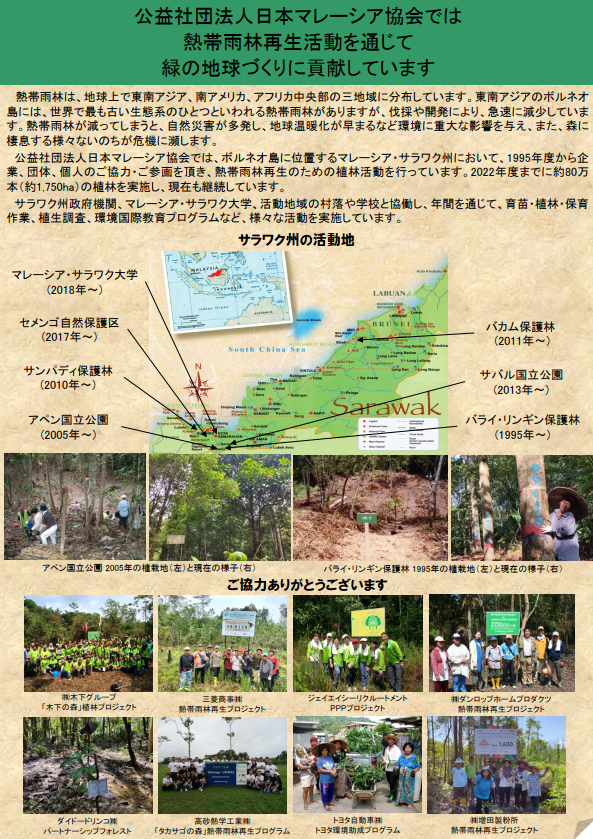 Tropical rainforest restoration activity overview