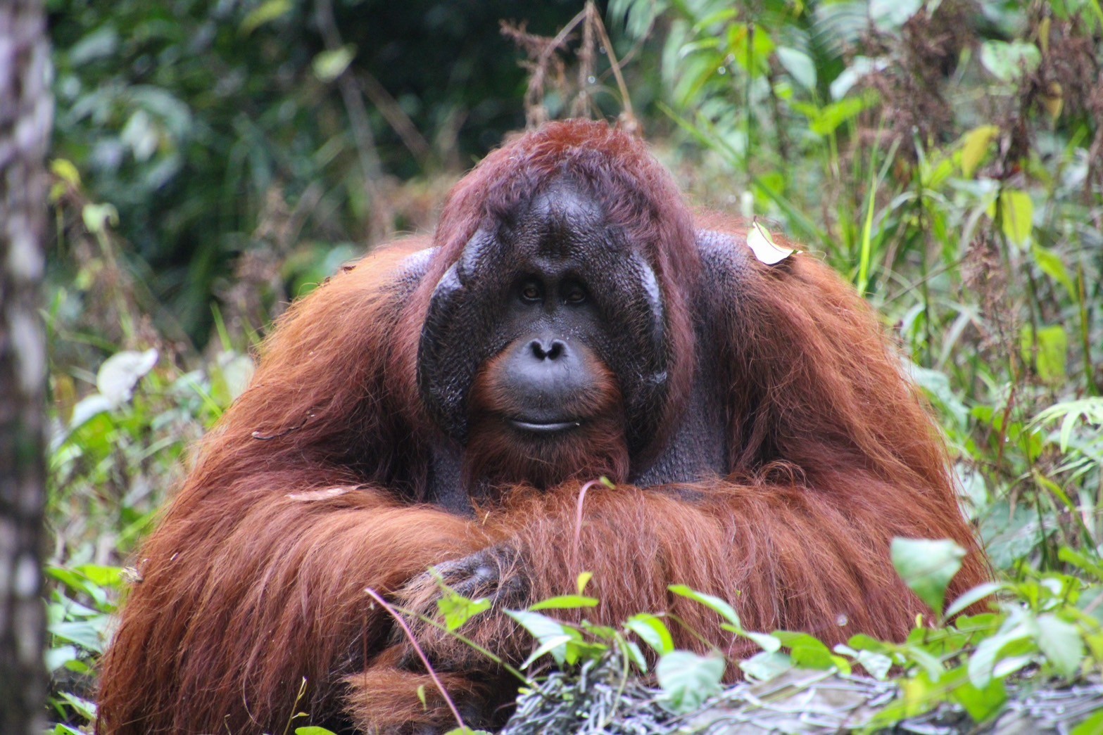 The boss of the center, photographed by a student volunteer