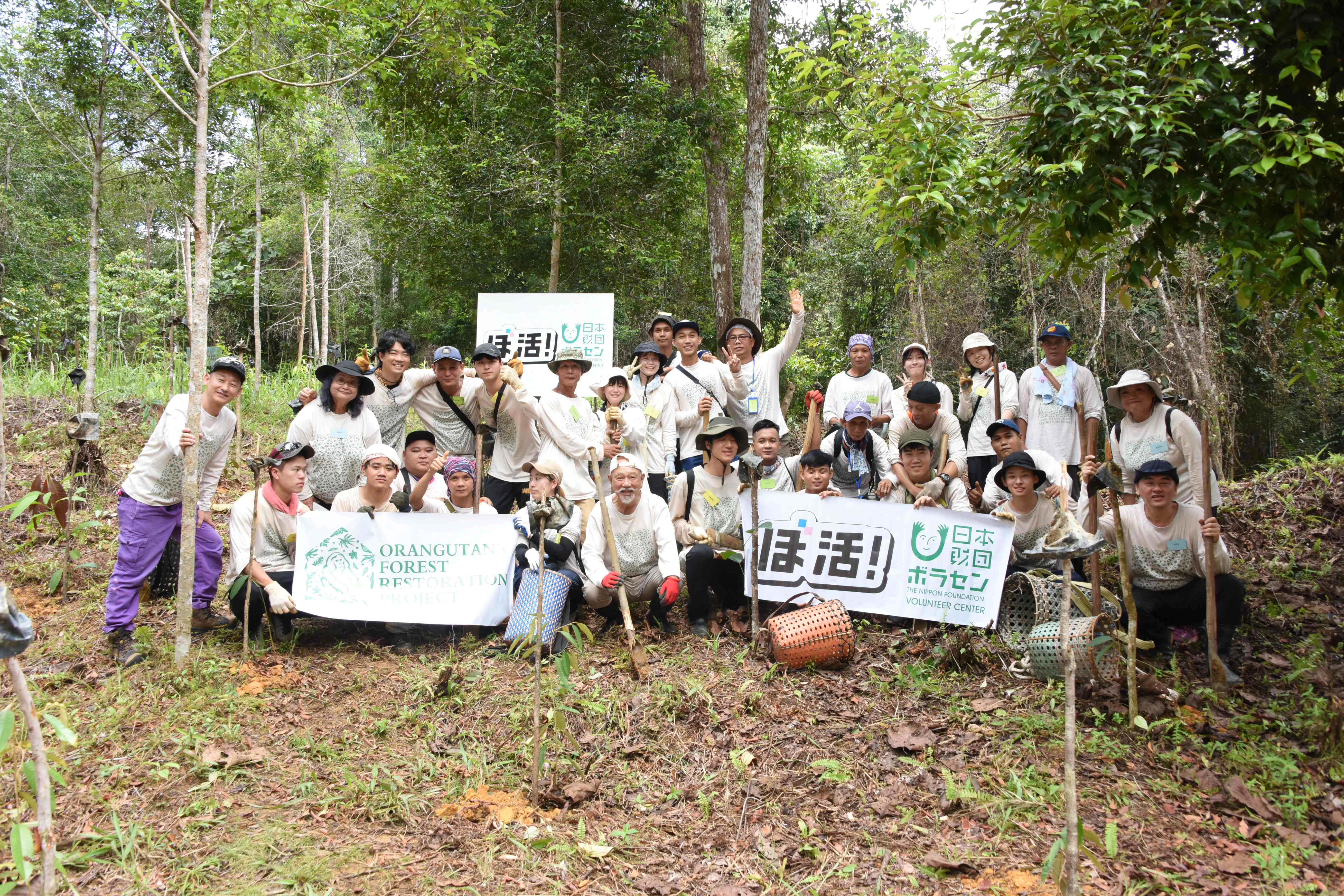 Tree planting site at Apen National Park, Sarawak