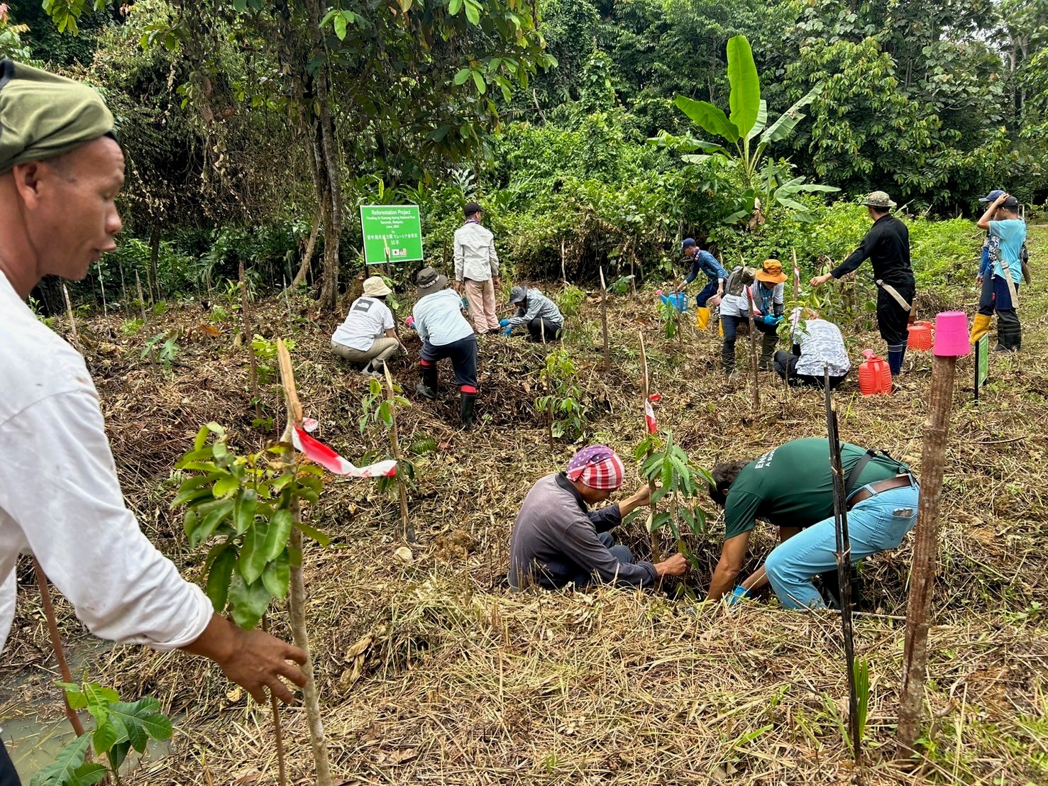 Planting trees together with local people