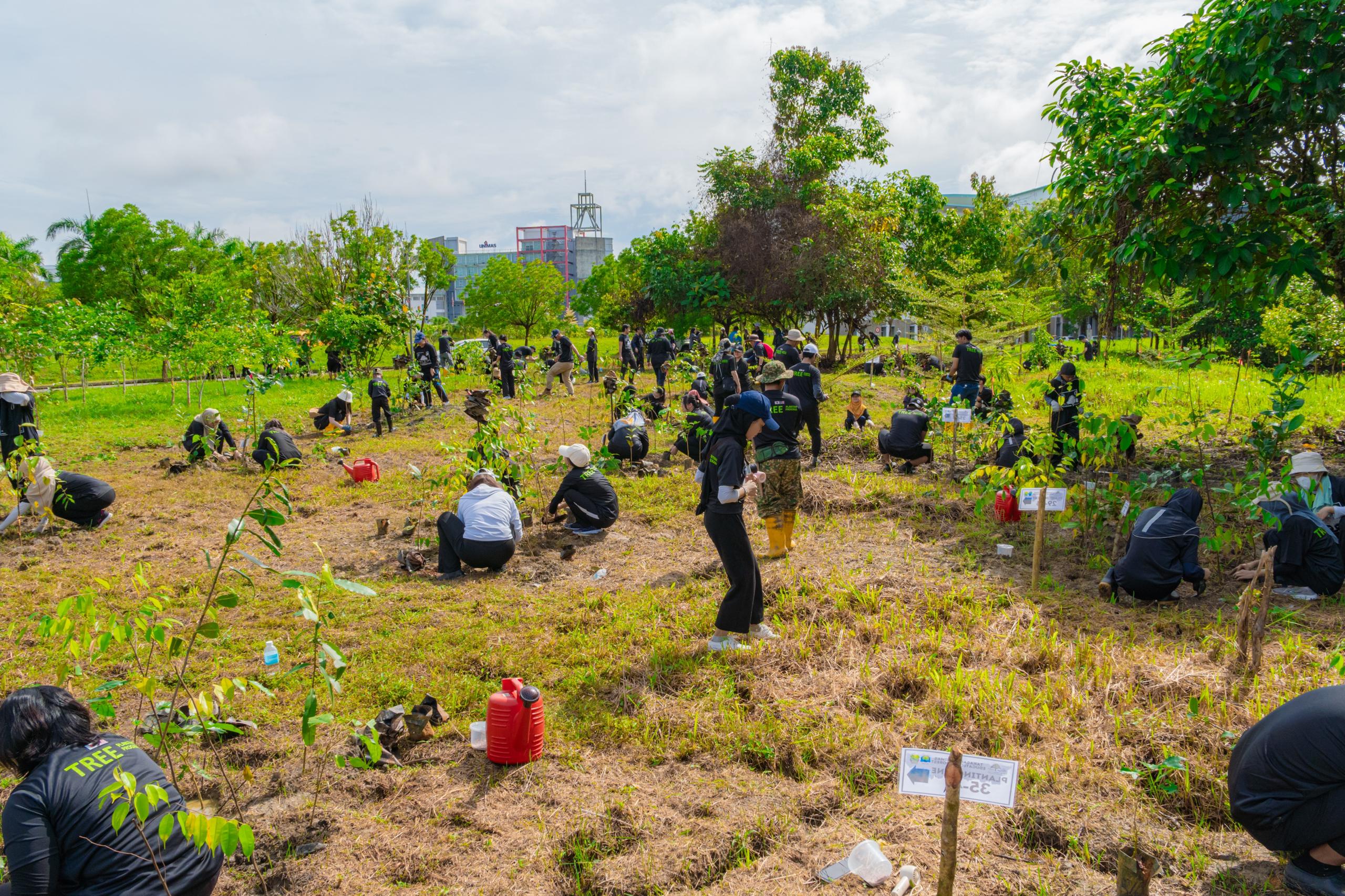 All 120 participants planting 1,000 seedlings together at the Takasago Forest